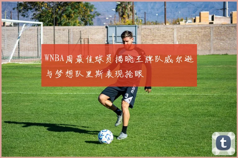 WNBA周最佳球员揭晓王牌队威尔逊与梦想队里斯表现抢眼