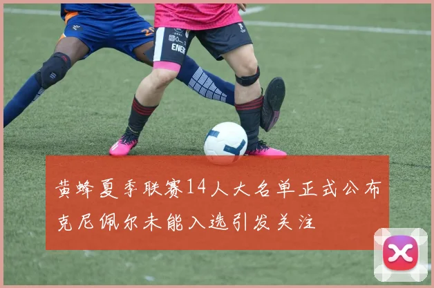 黄蜂夏季联赛14人大名单正式公布克尼佩尔未能入选引发关注