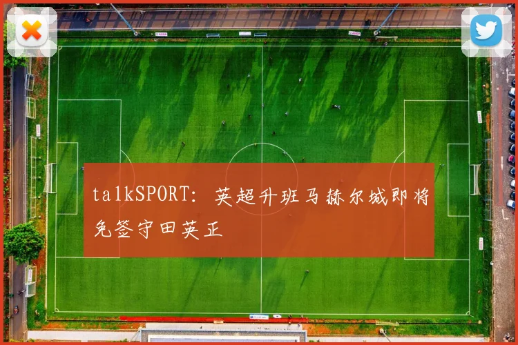 talkSPORT：英超升班马赫尔城即将免签守田英正